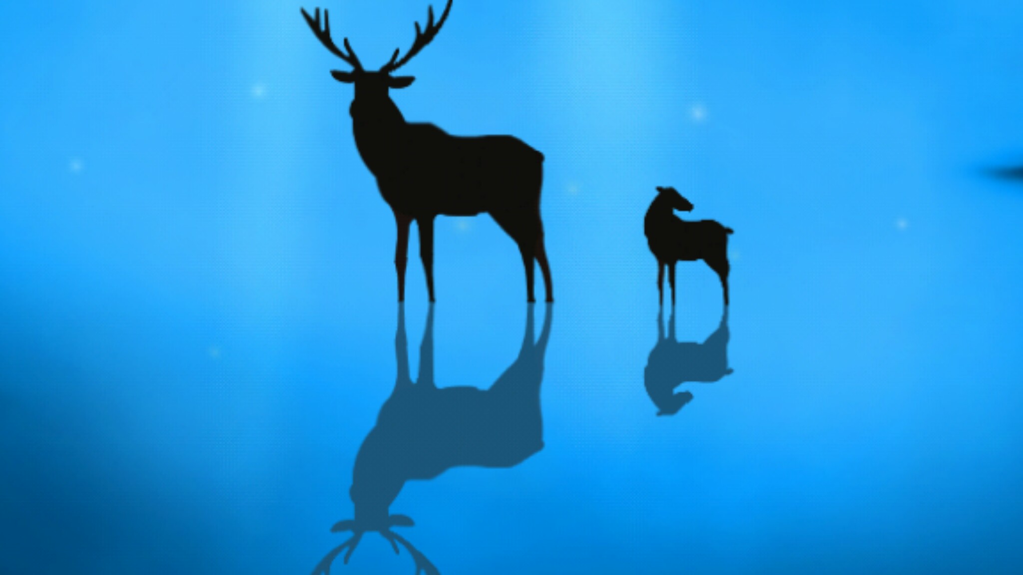Picsart banner for @invisibility