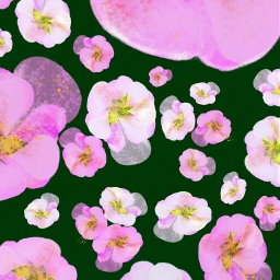 wdpfloralpaper colorful flower nature madewithpicsart